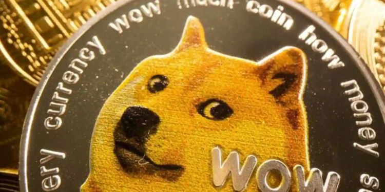 Let’s raise the Shibu inu to the sky!