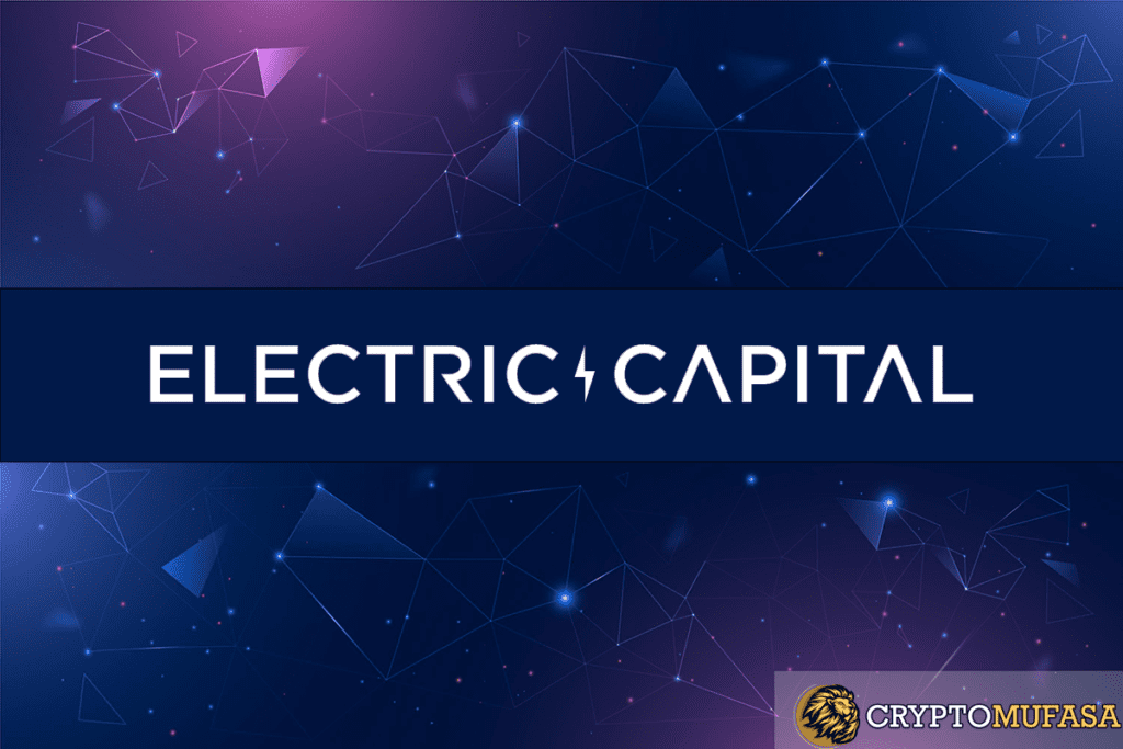 Electric Capital Closes $1 Billion In Funds To Back Crypto Startups