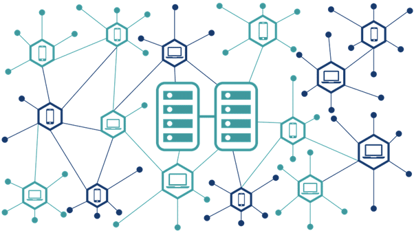 Biggest Blockchains in 2022