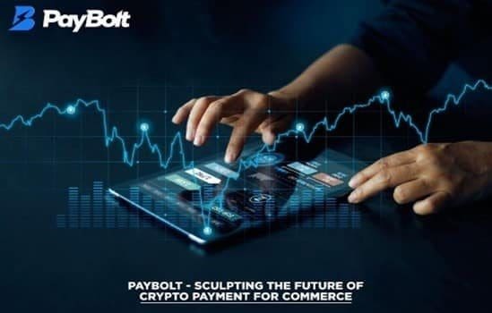 PayBolt – A Decentralized Payment Gateway Solution