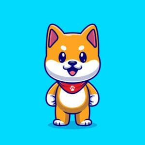 Dogecoin And Shiba INU Will Be The Next Major Cryptocurrency!