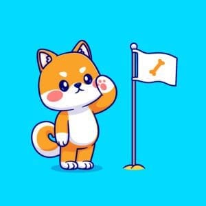 Shiba Inu (SHIB) has become the most preferred smart contract by the top 5,000 Ethereum whales.