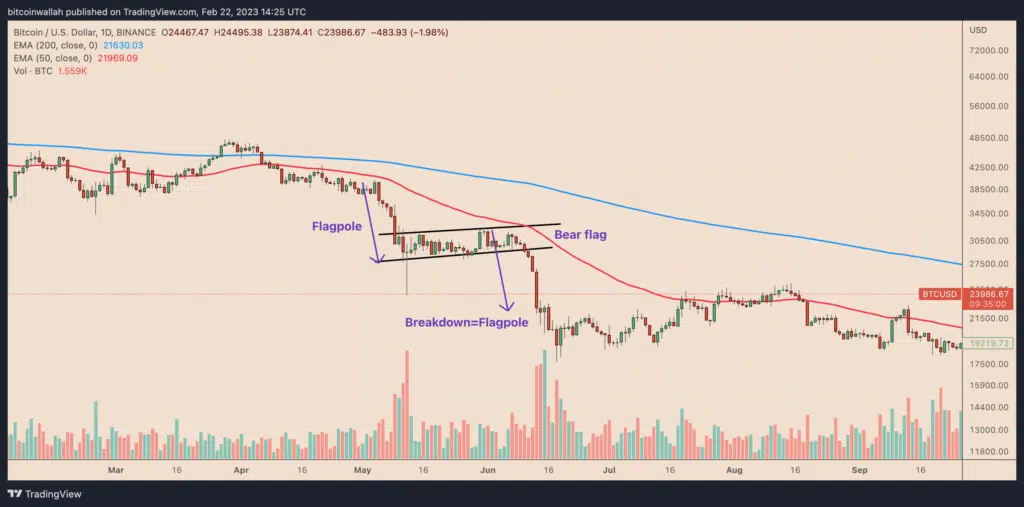 Bull And Bear Flag patterns: How To Trade Them?