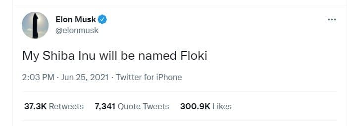 Floki Inu (FLOKI): A Comprehensive Guide to the Popular Memecoin