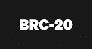 The BRC20 Token Boom