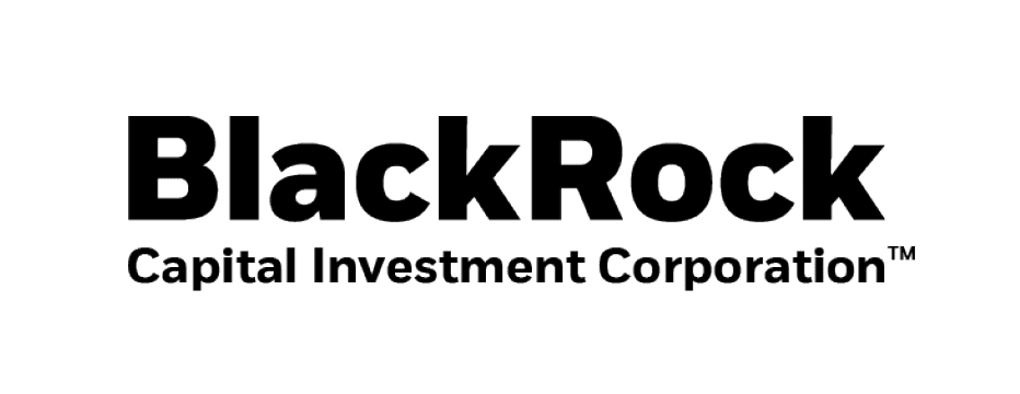 BlackRock: An Overview