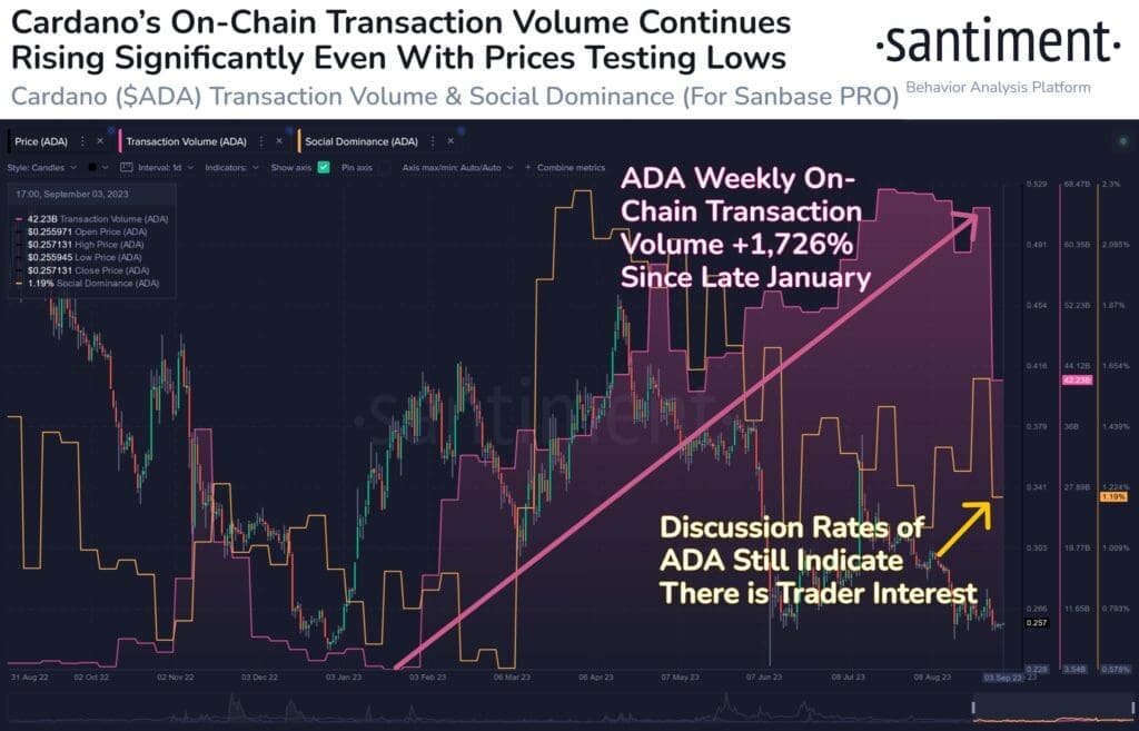 Altcoin Spotlight: Cardano (ADA) Surges With Growing Onchain Transactions