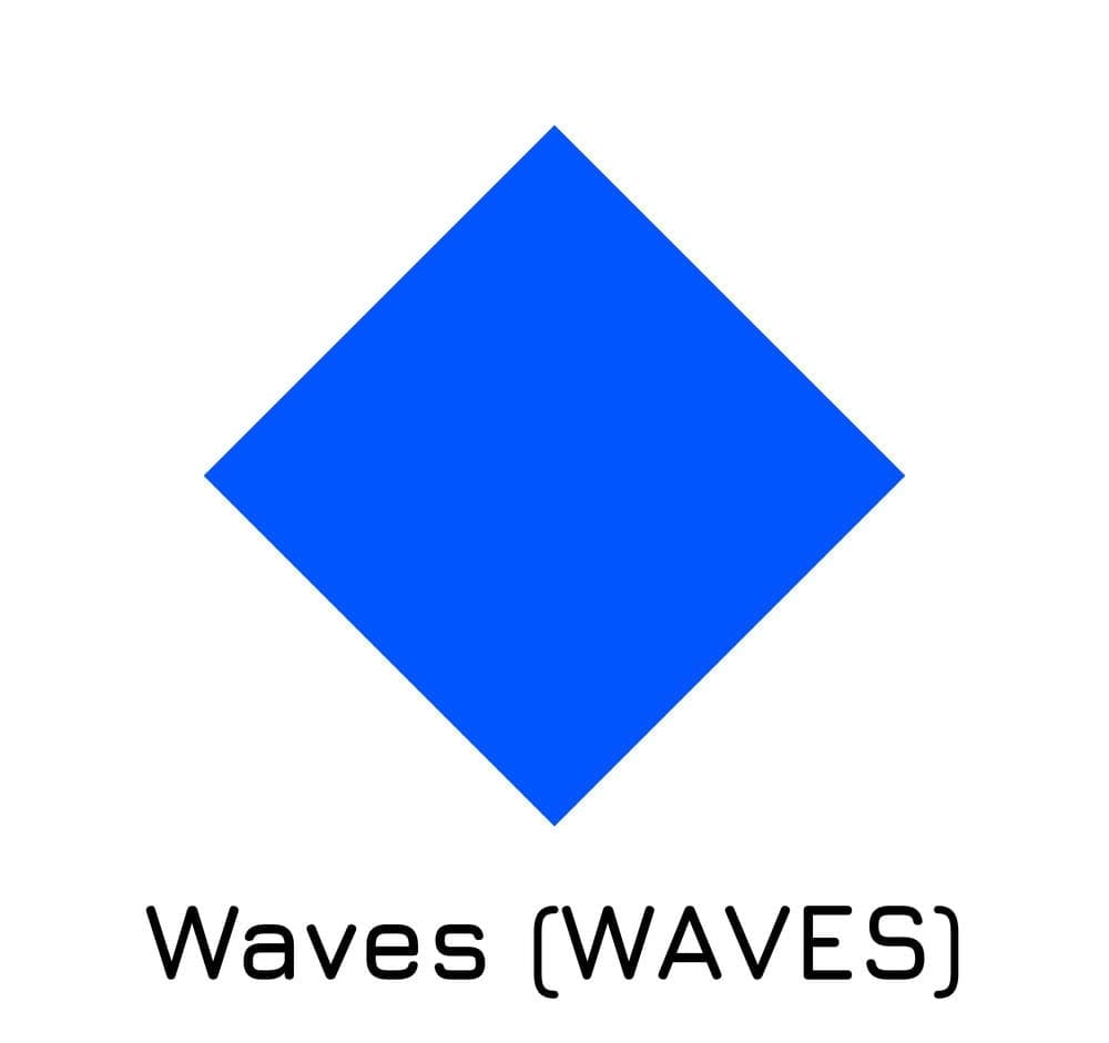 Is WAVES a Sound Investment Bet Before 2024 A Detailed Examination