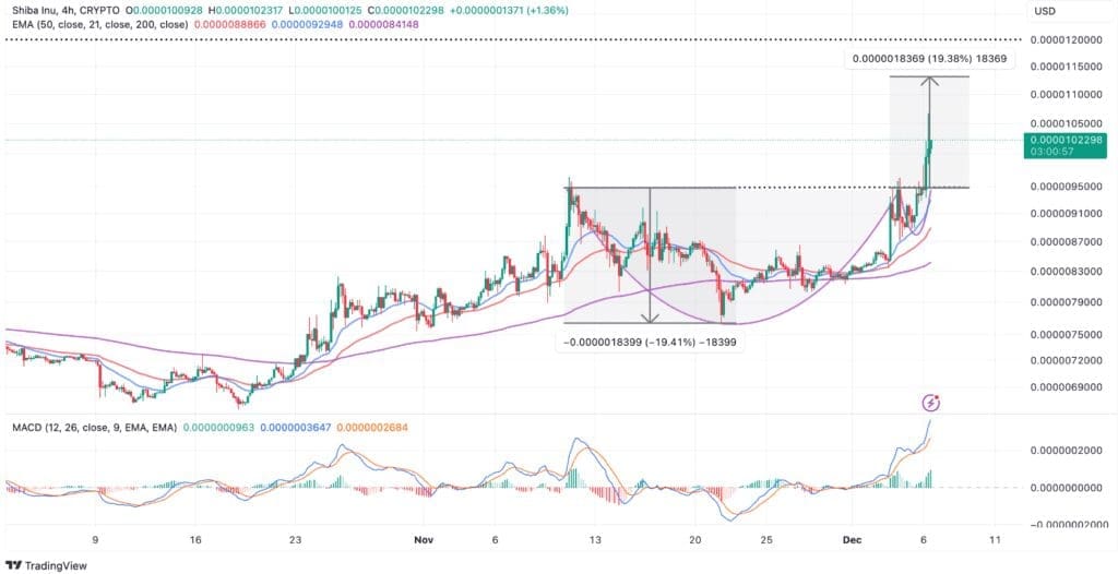 Investing In Shiba Inu In December Know These Essential SHIB Price Levels
