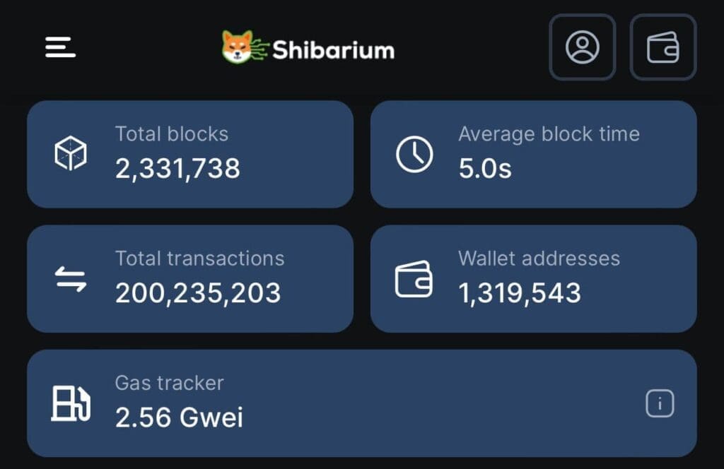 Shiba Inu (SHIB) in 2024: Expectations and Projections