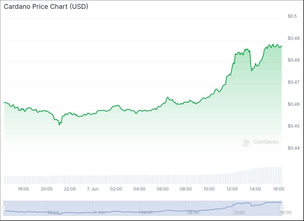 Ripple (XRP) vs. Cardano (ADA) Which Cryptocurrency Will Lead the Recovery Charge