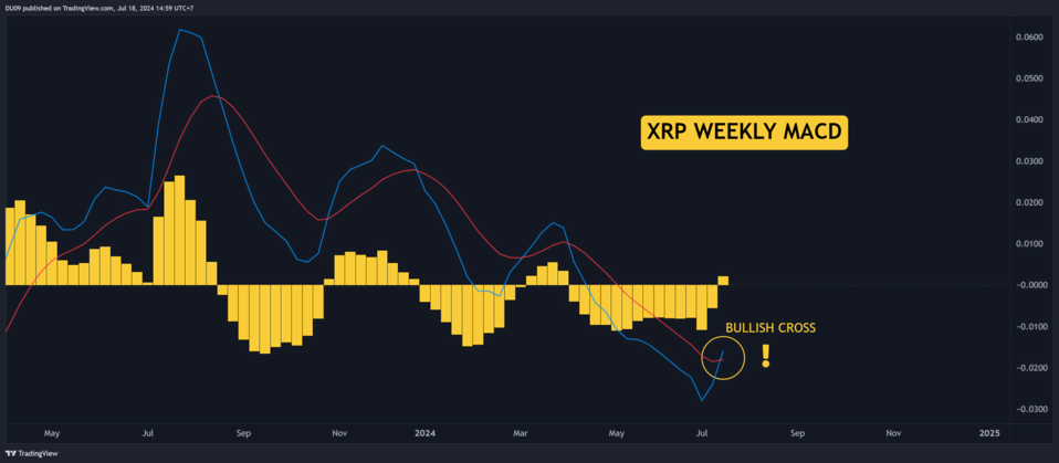 Will Ripple's XRP Bull Run Last 3 Essential Factors to Consider