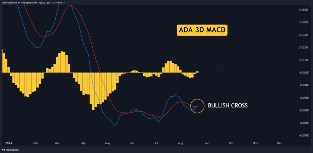 Will Cardano (ADA) Hit $0.40 Key Indicators Suggest a Bull Run