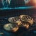 Germany Shuts Down 47 Crypto Exchanges in a Major Crackdown on Money Laundering